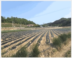  2025Ÿ102  õ   243-2      ()