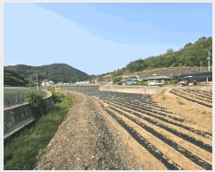  2025Ÿ102  õ   243-2      ()