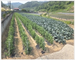  2025Ÿ102  õ   243-2      ()