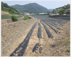  2025Ÿ102  õ   243-2      ()