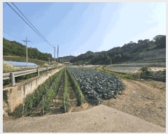  2025Ÿ102  õ   243-2      ()