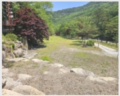  2025Ÿ��104 ��� �ܾ籺 �ܼ��� ���긮 706      ����(��1)���