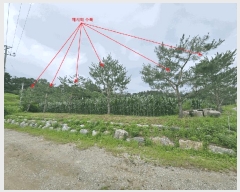  2025Ÿ��110 ��� ��õ�� ������ 464-3       ����(��)���