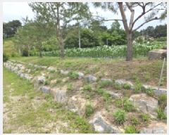  2025Ÿ��110 ��� ��õ�� ������ 464-3       ����(��)���