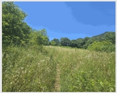  2025Ÿ��126  ���ð��