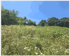  2025Ÿ��126  ���ð��