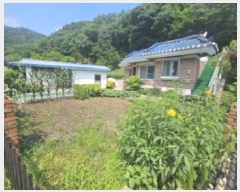  2025Ÿ��126  ���ð��