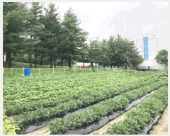  2025Ÿ��134  �������