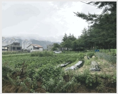  2025Ÿ��134  �������