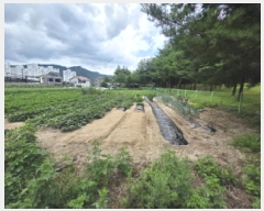  2025Ÿ��134  �������