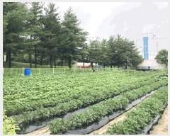  2025Ÿ��134  �������