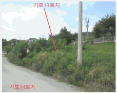  2025Ÿ��136 ��� ��õ�� �ſ��� ��15-65       ����(�Ӿ�)���