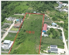  2025Ÿ��136 ��� ��õ�� �ſ��� ��15-65       ����(�Ӿ�)���