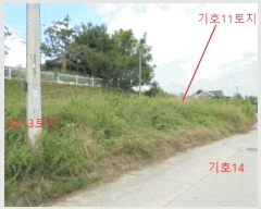  2025Ÿ��136 ��� ��õ�� �ſ��� ��15-65       ����(�Ӿ�)���