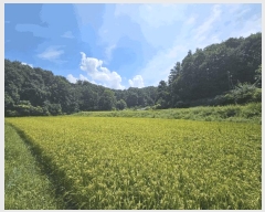  2025Ÿ��140  ����