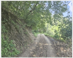  2025Ÿ��140  ����