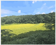  2025Ÿ��140  ����