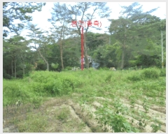  2025Ÿ��144 ��� ��õ�� ���� ������ 275-8      ����(�Ӿ�)���