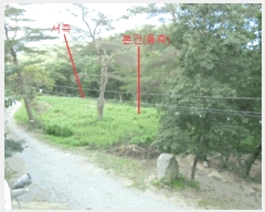  2025Ÿ��144 ��� ��õ�� ���� ������ 275-8      ����(�Ӿ�)���