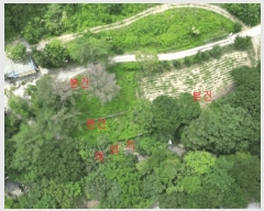  2025Ÿ��144 ��� ��õ�� ���� ������ 275-8      ����(�Ӿ�)���