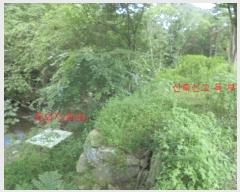  2025Ÿ��144 ��� ��õ�� ���� ������ 275-8      ����(�Ӿ�)���