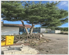  2025Ÿ��152  ������