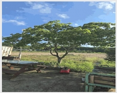  2025Ÿ��152  ������