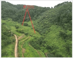  2025Ÿ��156  �����