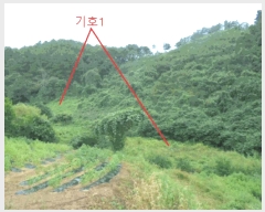  2025Ÿ��156  �����