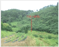  2025Ÿ��156  �����