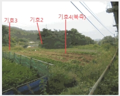  2025Ÿ��156  �����