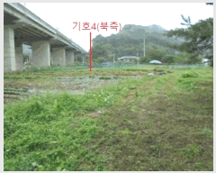  2025Ÿ��156  �����