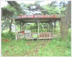  2025Ÿ��156  �����