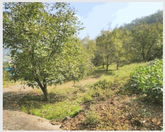  2025Ÿ��166 ��� �ܾ籺 ������ �ϸ� 212      ����(��1)���