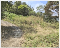  2025Ÿ��166 ��� �ܾ籺 ������ �ϸ� 212      ����(��1)���