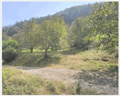  2025Ÿ��166 ��� �ܾ籺 ������ �ϸ� 212      ����(��1)���