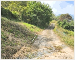  2025Ÿ��166 ��� �ܾ籺 ������ �ϸ� 212      ����(��1)���