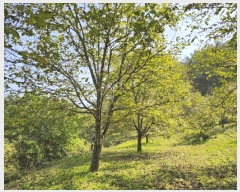  2025Ÿ��166 ��� �ܾ籺 ������ �ϸ� 212      ����(��1)���