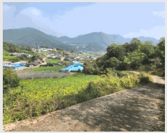  2025Ÿ��166 ��� �ܾ籺 ������ �ϸ� 212      ����(��1)���