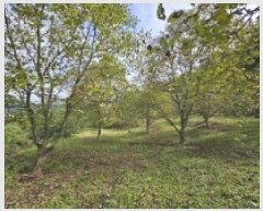  2025Ÿ��166 ��� �ܾ籺 ������ �ϸ� 212      ����(��1)���