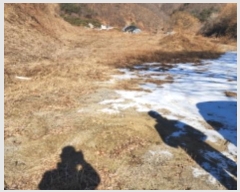  2025Ÿ��5062  ����