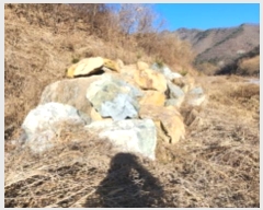  2025Ÿ��5062  ����