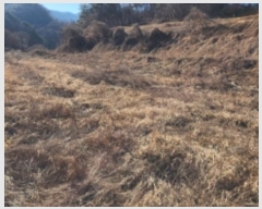  2025Ÿ��5062  ����