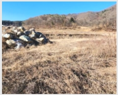  2025Ÿ��5062  ����