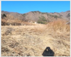  2025Ÿ��5062  ����