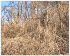  2025Ÿ5123  õ ϵ 2-6       (Ӿ)