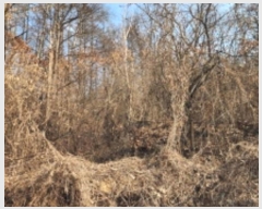  2025Ÿ5123  õ ϵ 2-6       (Ӿ)