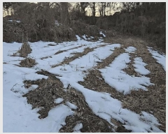  2025Ÿ��5161 ��� �ܾ籺 �ܾ��� ���� 66      ����(��1)���