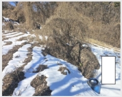  2025Ÿ��5161 ��� �ܾ籺 �ܾ��� ���� 66      ����(��1)���