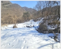  2025Ÿ��5161 ��� �ܾ籺 �ܾ��� ���� 66      ����(��1)���